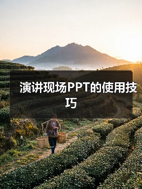 演讲现场PPT的使用技巧（图4）