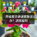 开会发言讲话紧张这么办？这样应对（图4）