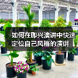 如何在即兴演讲中快速定位自己风格的演讲（图4）