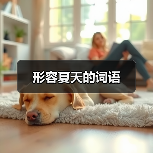 形容夏天的词语（图3）