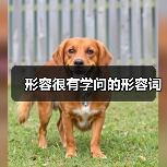 形容很有学问的形容词（图4）