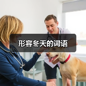 形容冬天的词语（图3）