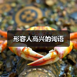 形容人高兴的词语（图2）