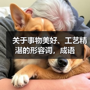 关于事物美好、工艺精湛的形容词，成语（图2）