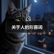 关于人的形容词（图1）