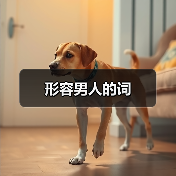 形容男人的词（图3）