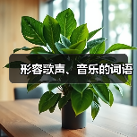 形容歌声、音乐的词语（图1）