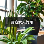 形容女人的词（图1）