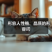 形容人性格、品质的形容词（图3）