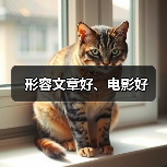 形容文章好、电影好（图4）