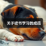 关于读书学习的成语(图2) 关于读书学习的成语(图2)