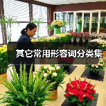 其它常用形容词分类集（图2）