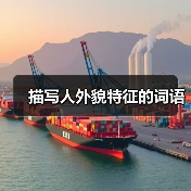 描写人外貌特征的词语(图3) 描写人外貌特征的词语(图3)