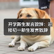 开学新生发言致辞：迎接初一新生发言致辞（图3）