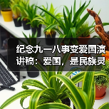 纪念九一八事变爱国演讲稿：爱国，是民族灵魂（图4）