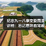 纪念九一八事变爱国演讲稿：忘记意味着背叛（图3）