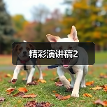 精彩演讲稿2（图3）