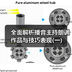 全面解析播音主持朗诵作品与技巧表现(一)（图2）
