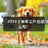 2018上半年工作总结怎么写？（图1）