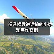 精选领导讲话稿的小标题写作案例（图3）