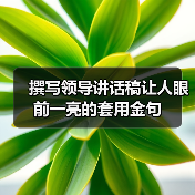 撰写领导讲话稿让人眼前一亮的套用金句（图3）