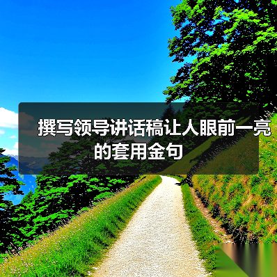 撰写领导讲话稿让人眼前一亮的套用金句（图4）