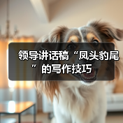 领导讲话稿“凤头豹尾”的写作技巧（图1）