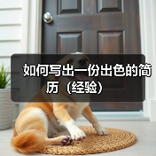 如何写出一份出色的简历（经验）（图1）
