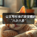 公文写作技巧需掌握的“八少八多”（图4）