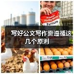 写好公文写作需遵循这几个原则（图4）