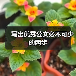写出优秀公文必不可少的两步（图4）