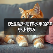 快速提升写作水平的20条小技巧（图2）