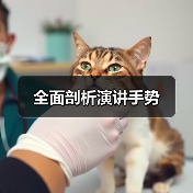 全面剖析演讲手势（图2）