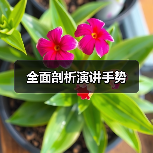 全面剖析演讲手势（图3）