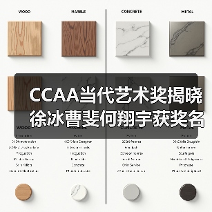 CCAA当代艺术奖揭晓徐冰曹斐何翔宇获奖名单(图2) CCAA当代艺术奖揭晓徐冰曹斐何翔宇获奖名单(图2)