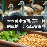 木木美术馆再打开“林间空地”:在纵贯古今的艺术中呈现一个“有温度的展览”(图4) 木木美术馆再打开“林间空地”:在纵贯古今的艺术中呈现一个“有温度的展览”(图4)