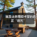 埃及法老图坦卡蒙的真正“诅咒”(图4) 埃及法老图坦卡蒙的真正“诅咒”(图4)