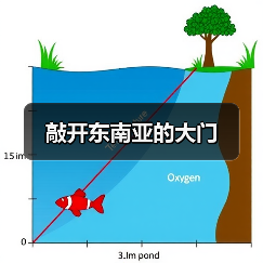 敲开东南亚的大门（图1）