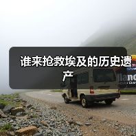 谁来抢救埃及的历史遗产（图2）