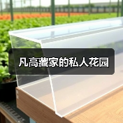 凡高藏家的私人花园(图2) 凡高藏家的私人花园(图2)