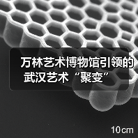 万林艺术博物馆引领的武汉艺术“聚变”(图4) 万林艺术博物馆引领的武汉艺术“聚变”(图4)