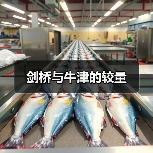 剑桥与牛津的较量(图3) 剑桥与牛津的较量(图3)