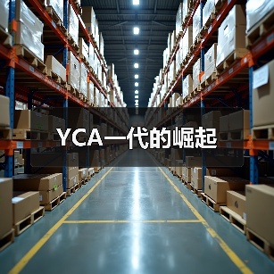 YCA一代的崛起（图4）