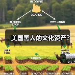 美国黑人的文化资产?(图1) 美国黑人的文化资产?(图1)