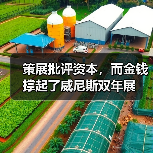 策展批评资本,而金钱撑起了威尼斯双年展 策展批评资本,而金钱撑起了威尼斯双年展