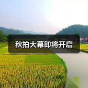 秋拍大幕即将开启(图1) 秋拍大幕即将开启(图1)