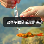巴塞尔跟随威尼斯转动(图2) 巴塞尔跟随威尼斯转动(图2)