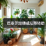 巴塞尔跟随威尼斯转动(图4) 巴塞尔跟随威尼斯转动(图4)