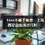 Free不等于免费:上海西岸自由港进行时(图3) Free不等于免费:上海西岸自由港进行时(图3)