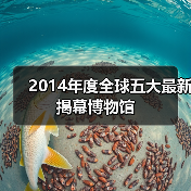 2014年度全球五大最新揭幕博物馆(图1) 2014年度全球五大最新揭幕博物馆(图1)